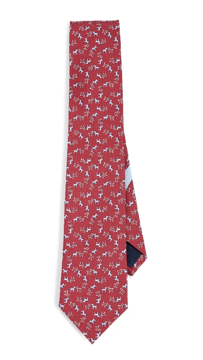 Ferragamo Dog Print Classic Tie In Red/blue
