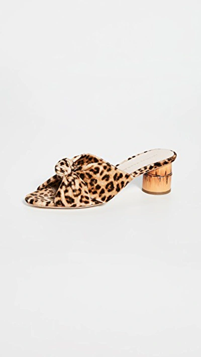 Loeffler Randall Celeste Mid Heel Knot Slide Sandals In Leopard