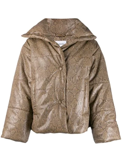 Nanushka Hide Snakeskin-print Puffer Jacket - 棕色 In Brown