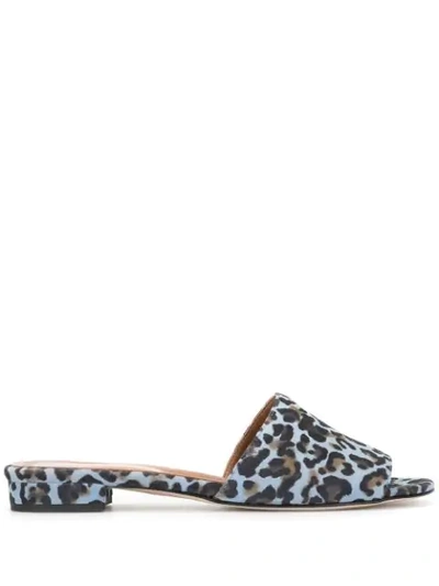 Paris Texas Leopard Print Sandals In Blue