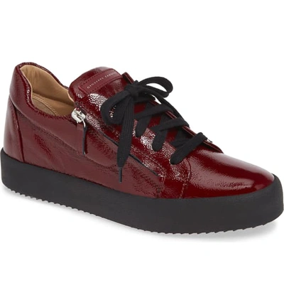 Giuseppe Zanotti Low Top Sneaker In Pinot