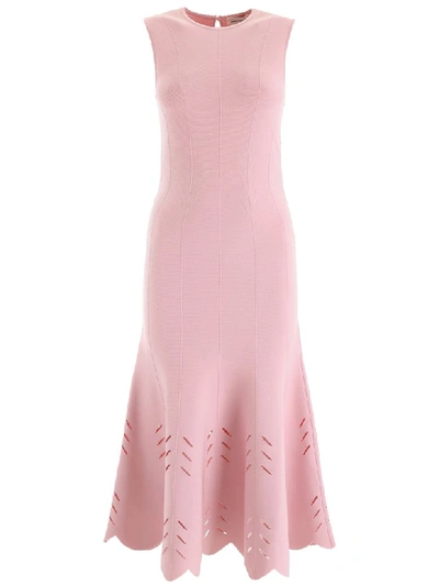 Alexander Mcqueen Knit Midi Dress In Pink