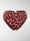 STELLA MCCARTNEY LEOPARD-PRINT BIKINI BOTTOM,S7B23030000013742748