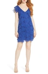 Bb Dakota Jacqueline Lace Shift Dress In Cobalt