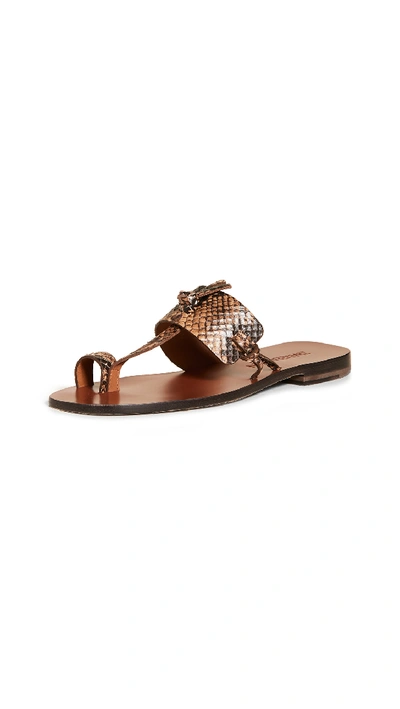 Zimmermann Knotted Snake-effect Leather Sandals In Snake Print