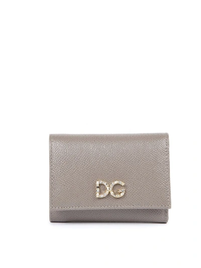 Dolce & Gabbana Mud Leather Wallet With Logo Plaque In Neutro