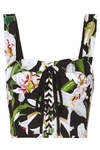 DOLCE & GABBANA CROPPED FLORAL-PRINT COTTON-BLEND POPLIN AND MESH BUSTIER TOP