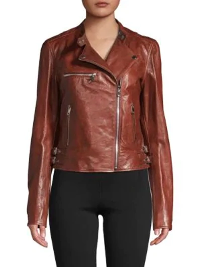 Dolce & Gabbana Blouson Moto Leather Jacket In Dark Brown