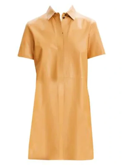 Theory Button-down Short-sleeve Mini Leather Shirtdress In Sienna