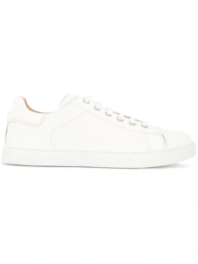 Gianvito Rossi Low Top Sneakers In White