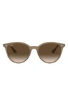 Ray Ban Ray-ban Women's Round Sunglasses, 53mm In Opal Beige/ Brown Gradient