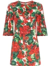 DOLCE & GABBANA GERANIUM PRINT MINI DRESS