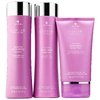 ALTERNA HAIRCARE CAVIAR ANTI-AGING® SMOOTHING ANTI-FRIZZ ESSENTIALS,2211803