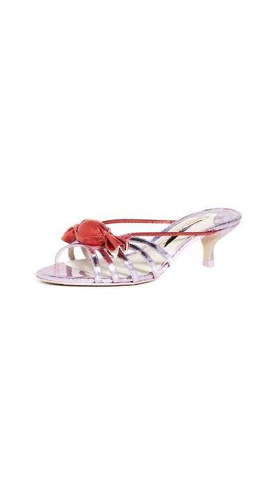 Sophia Webster Bonbon Mules In Rosa/red