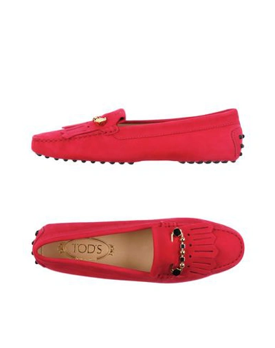 Tod's Loafers In Red