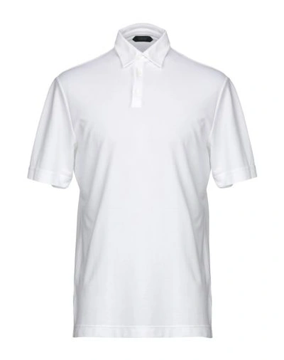 ZANONE ZANONE MAN POLO SHIRT WHITE SIZE 48 COTTON,12197636WL 8