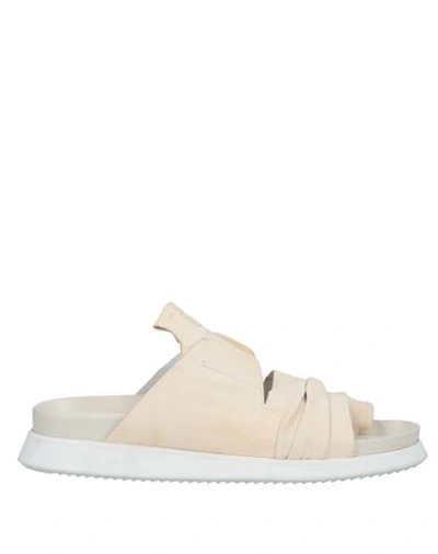 Cinzia Araia Flip Flops In Ivory