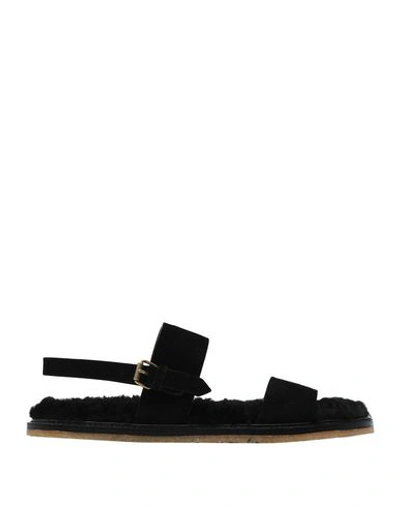 Saint Laurent Sandals In Black