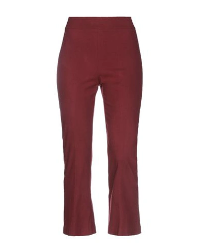 Avenue Montaigne Casual Pants In Maroon