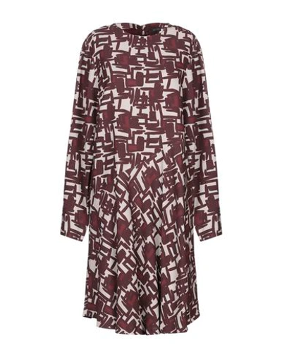 Antonelli Short Dress In Maroon