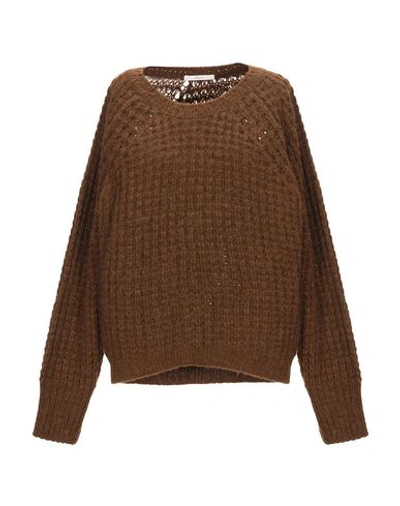 Sessun Sweaters In Brown