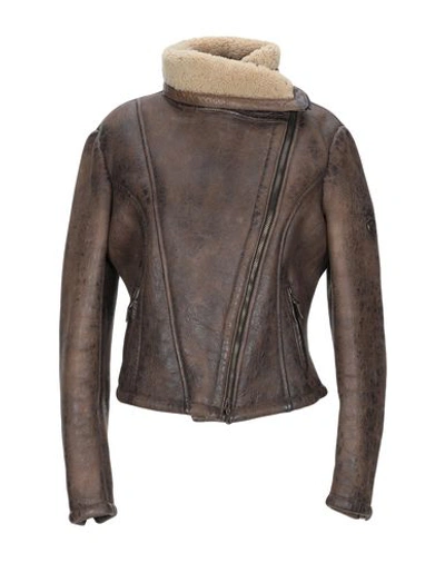 Matchless Leather Jacket In Brown