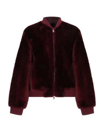Theory Bomber 夹克 In Maroon