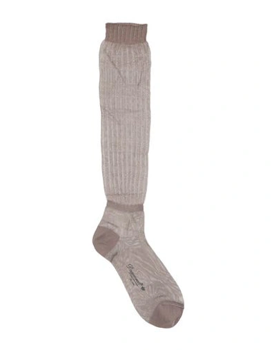 Dsquared2 Socks & Tights In Khaki