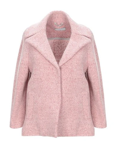 Circolo 1901 Blazer In Pastel Pink