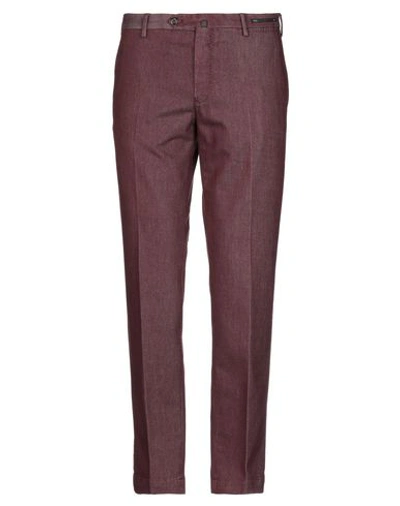 Pt01 Pants In Maroon