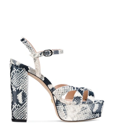 Stuart Weitzman Misty Platform In Black And White Python Printed Leather