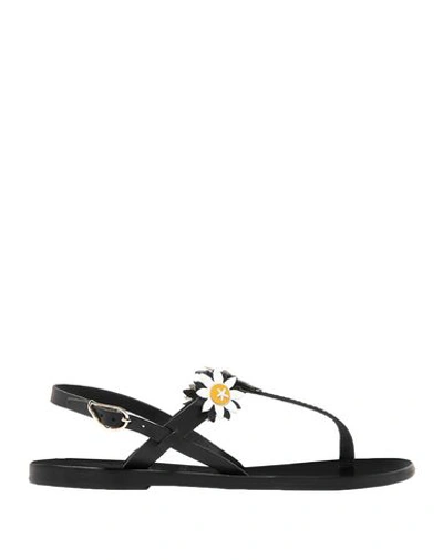 Ancient Greek Sandals Toe Strap Sandals In Black