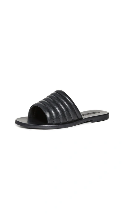 Sol Sana Toro Slide Sandals In Black