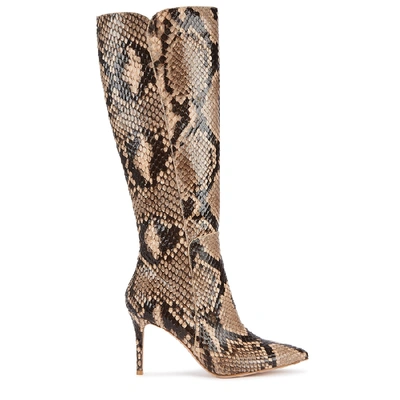 Gianvito Rossi Women's Corrine Knee-high Python Boots In Neutral