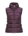 Add Down Jacket In Deep Purple