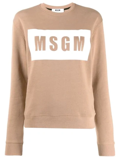 Msgm Box Logo Sweatshirt In Brown
