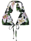 DOLCE & GABBANA LILY-PRINT BIKINI TOP