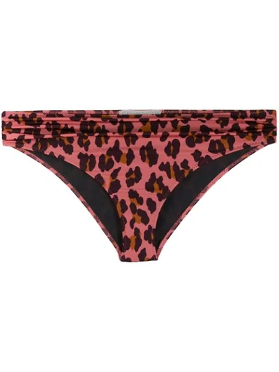 Stella Mccartney Leopard Print Bottom - 粉色 In Pink