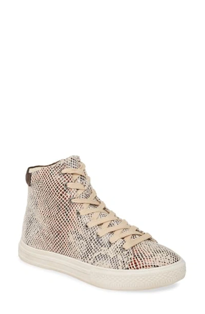 Band Of Gypsies Eagle High Top Sneaker In Natural/ Brown Snake Print