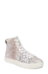 Band Of Gypsies Eagle High Top Sneaker In White/black Snake Print