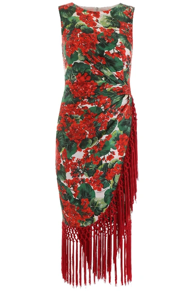 Dolce & Gabbana Fringed Dress In Gerani Fdo Bco Nat (red)