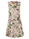 DOLCE & GABBANA FLORAL PRINT DRESS,10982980