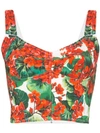 DOLCE & GABBANA DOLCE & GABBANA BUSTIER MIT PRINT - ROT