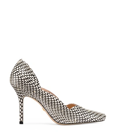 Stuart Weitzman Alva 95 In Black And White King Cobra