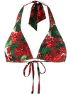 DOLCE & GABBANA PORTOFINO PRINT BIKINI TOP