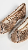 Sam Edelman Felicia Snakeskin Ballerinas In Brown Snake Print