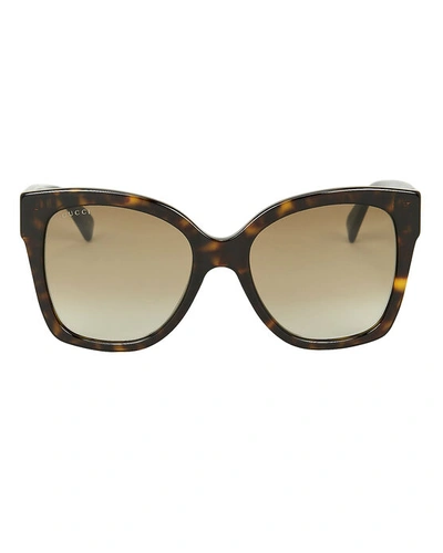Gucci Oversized Plaque Sunglasses In Brown