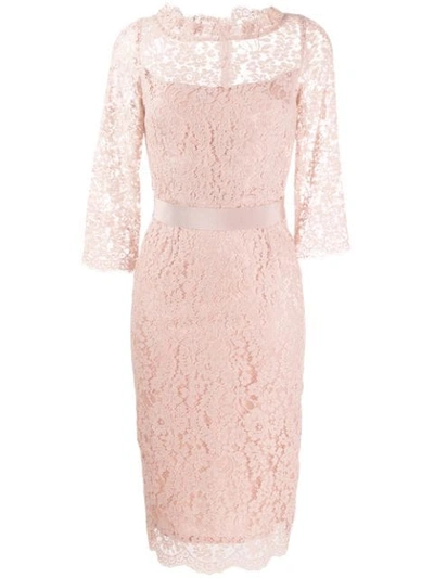 Goat Venus Lace Fitted Dress In Pink