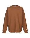 Carhartt Sweatshirt In Brown