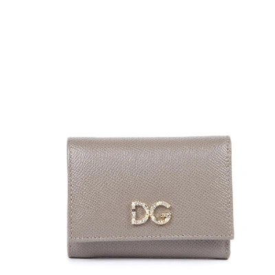 Dolce & Gabbana Mud Leather Wallet With Logo Plaque In Neutro